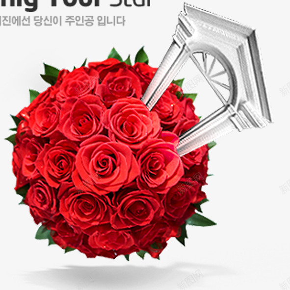 玫瑰花球png免抠素材_88icon https://88icon.com 玫瑰花 红色