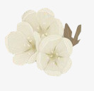 唯美手绘白色小花风光png免抠素材_88icon https://88icon.com 白色 风光