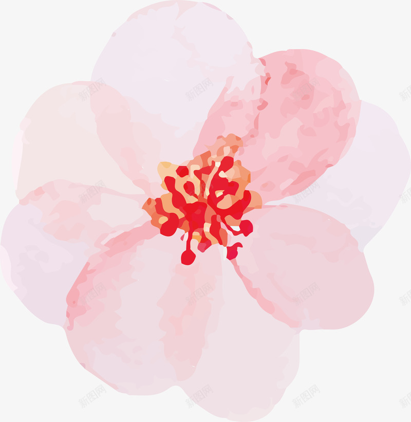 绽放的花png免抠素材_88icon https://88icon.com 春天 春天小清晰 春天植物 春天矢量 春天装饰 植物 绽放的花