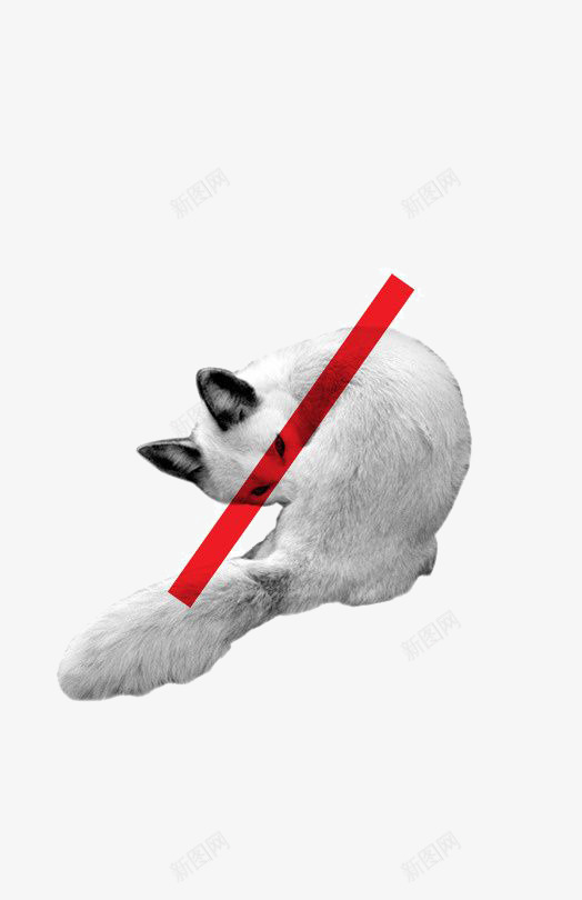保护动物公益png免抠素材_88icon https://88icon.com 保护动物 公益图片 拒绝皮草