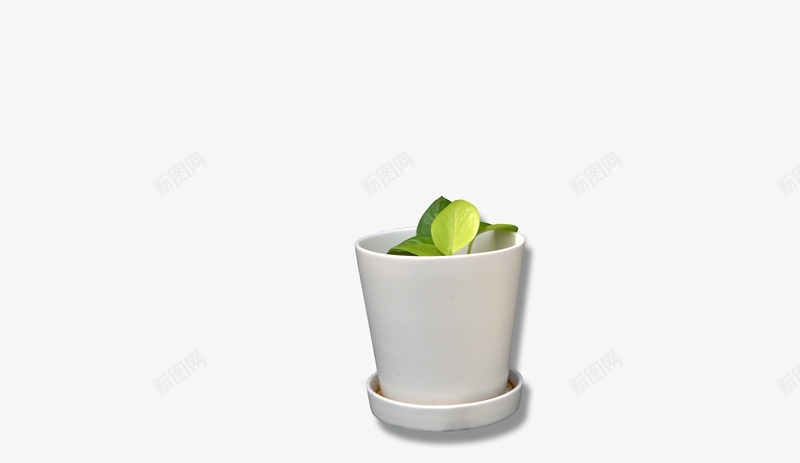 可爱花盆psd免抠素材_88icon https://88icon.com 可爱 实物 花盆