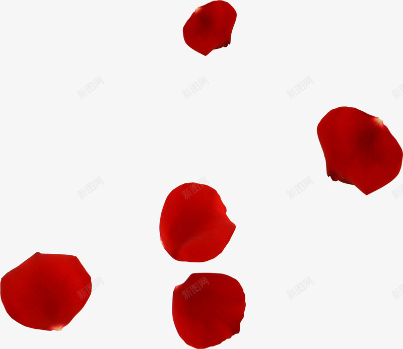 红色玫瑰花瓣装饰png免抠素材_88icon https://88icon.com 玫瑰 素材 红色 花瓣 装饰
