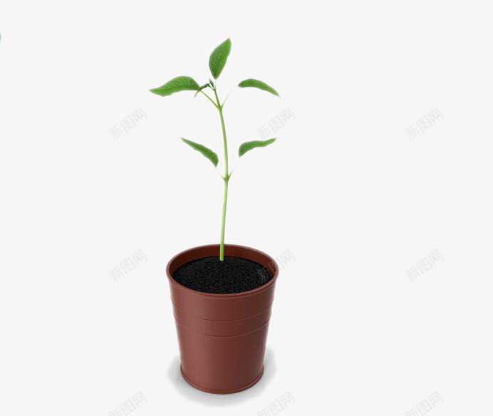 花盆里的植物png免抠素材_88icon https://88icon.com 土壤 植物 绿叶 花盆 装饰