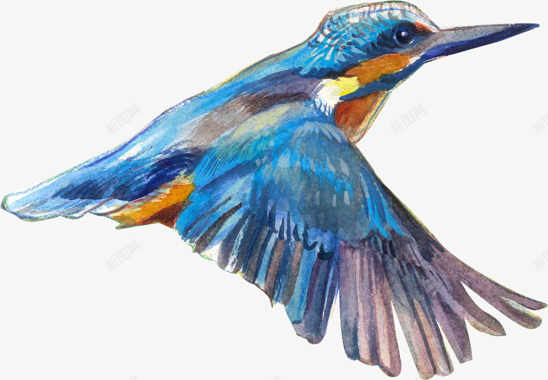 水彩小鸟png免抠素材_88icon https://88icon.com 一只 卡通 小鸟 手绘 水彩 羽毛 翅膀 蓝色