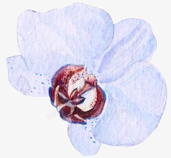 手绘蝴蝶兰蓝色花朵png免抠素材_88icon https://88icon.com 包装设计 小清新包装 花朵装饰 花瓣 花瓣装饰 花草设计 蝴蝶兰花朵 贺卡设计