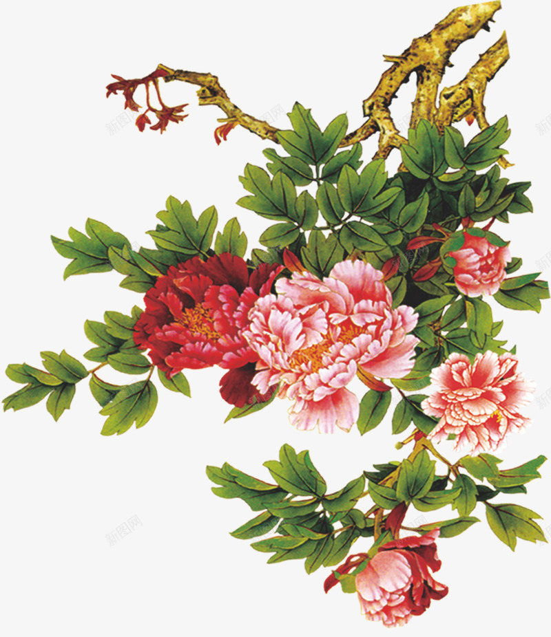 牡丹花图案png免抠素材_88icon https://88icon.com 国花 牡丹 玫瑰花 鲜花