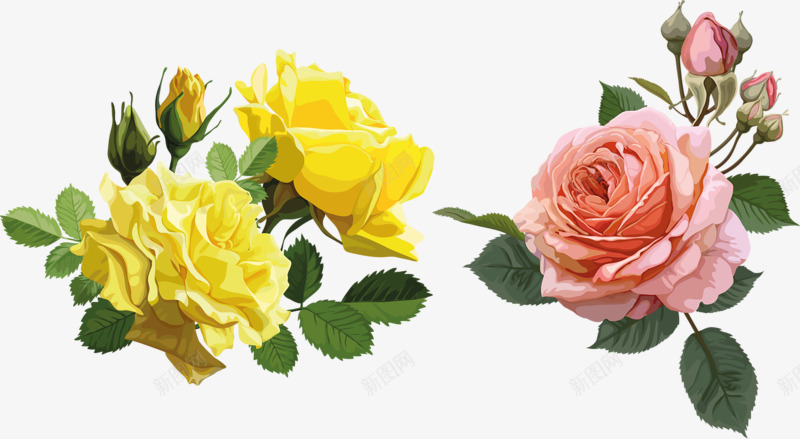 粉红玫瑰花黄色玫瑰花png免抠素材_88icon https://88icon.com 玫瑰花 粉红 黄色