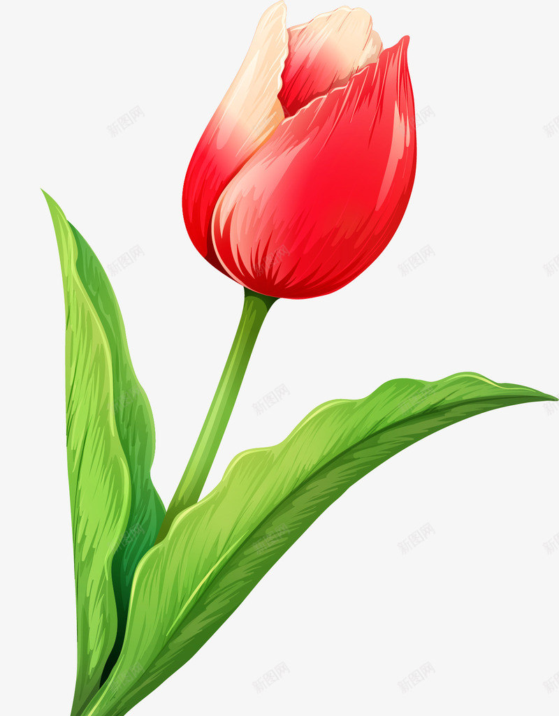 唯美玫瑰花矢量图eps免抠素材_88icon https://88icon.com 卡通有趣 小清新 玫瑰花 矢量图案 绿色叶子 装饰图 矢量图