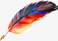 手绘五颜六色的羽毛png免抠素材_88icon https://88icon.com 五颜六色 羽毛