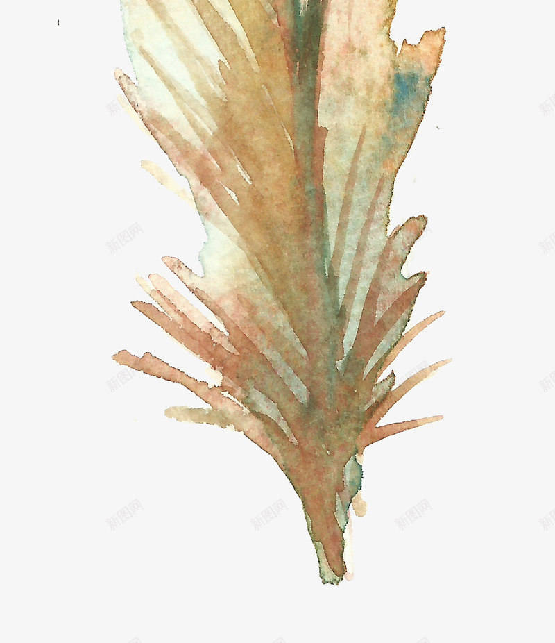 黄色羽毛png免抠素材_88icon https://88icon.com 动物羽毛 手绘羽毛 水彩羽毛