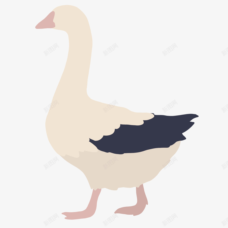 走路的唯美天鹅矢量图ai免抠素材_88icon https://88icon.com 动物 唯美 天鹅 手绘 浅粉色 羽毛 腿短 黑色 矢量图