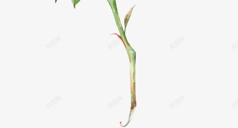 粉色水彩细腻玫瑰花png免抠素材_88icon https://88icon.com 粉色水彩 细腻玫瑰花