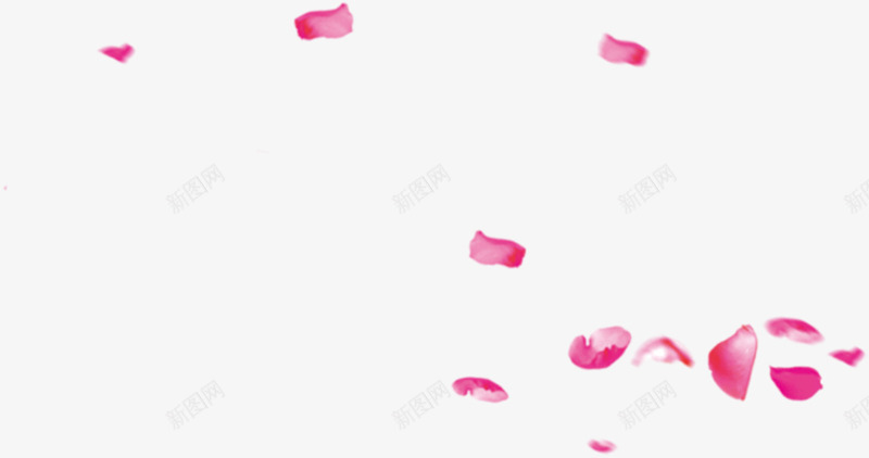 玫粉玫瑰花瓣飞舞png免抠素材_88icon https://88icon.com 玫瑰 花瓣 飞舞