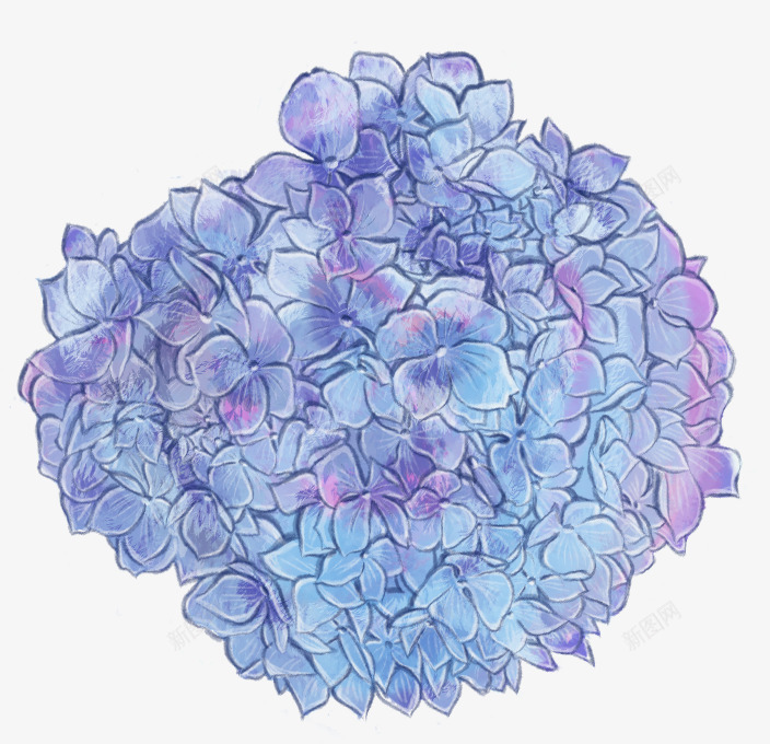 手绘紫色球花封面png免抠素材_88icon https://88icon.com 封面 球花 紫色
