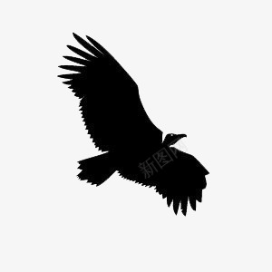 飞翔的鹰png免抠素材_88icon https://88icon.com 羽毛 翅膀 飞翔