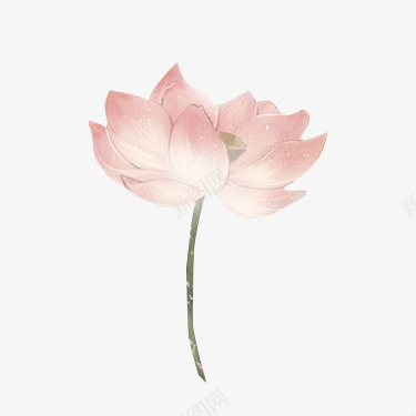 藕粉png免抠素材_88icon https://88icon.com 古风 粉红 荷花