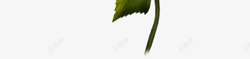 手绘粉色复古玫瑰花朵装饰png免抠素材_88icon https://88icon.com 复古 玫瑰 粉色 花朵 装饰