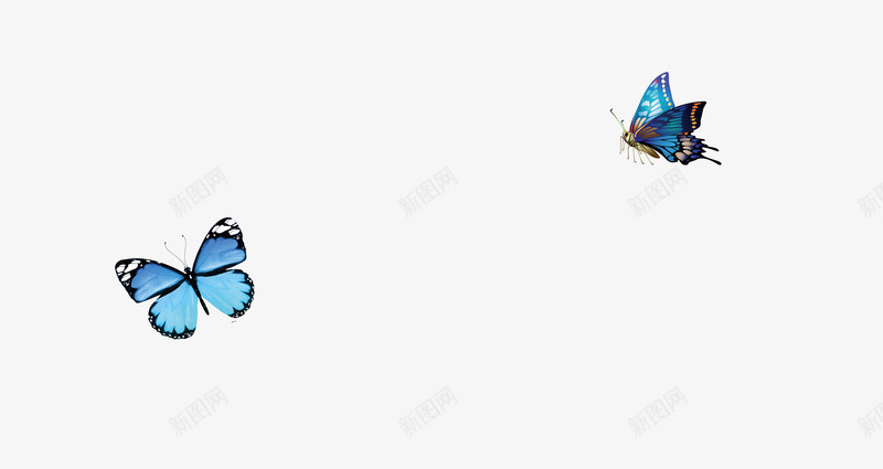 飞舞的蓝色花蝴蝶png免抠素材_88icon https://88icon.com 蓝色 蝴蝶 飞舞
