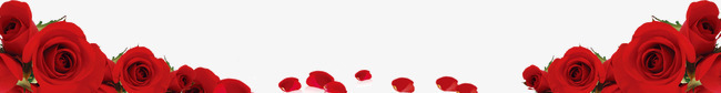 玫瑰花装饰框png免抠素材_88icon https://88icon.com 玫瑰花 装饰框 边框