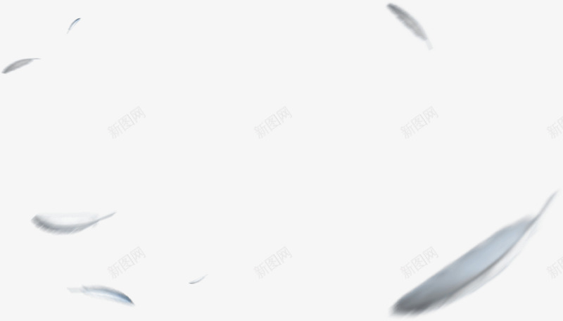 散落羽毛图案png免抠素材_88icon https://88icon.com 图案 散落 羽毛