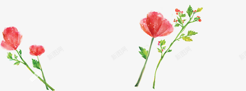 浪漫花草唯美封面png免抠素材_88icon https://88icon.com 封面 浪漫 花草