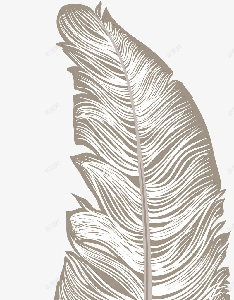 卡通简约羽毛装饰png免抠素材_88icon https://88icon.com PPT模板设计 卡通装饰 封面设计 小清新插画 少女心羽毛 广告设计 文艺风装饰图案 海报设计 羽毛 金色羽毛