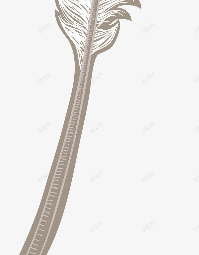 卡通简约羽毛装饰png免抠素材_88icon https://88icon.com PPT模板设计 卡通装饰 封面设计 小清新插画 少女心羽毛 广告设计 文艺风装饰图案 海报设计 羽毛 金色羽毛