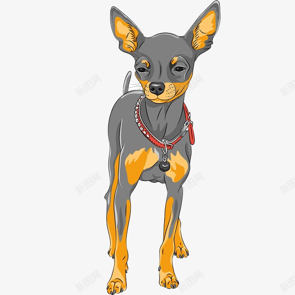 灰色站立小狗脖子上的铃铛png免抠素材_88icon https://88icon.com 免抠图 动物 宠物 小狗 效果图 装饰图 装饰画 铃铛