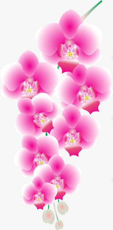 粉色蝴蝶兰png免抠素材_88icon https://88icon.com 图案 手绘蝴蝶兰 梦幻 粉色 蝴蝶兰