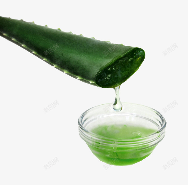 芦荟汁png免抠素材_88icon https://88icon.com 护肤 植物 水滴 汁液 祛痘 祛痘广告 美容 芦荟