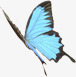 蝴蝶左上角边框png免抠素材_88icon https://88icon.com 左上角 蝴蝶 边框