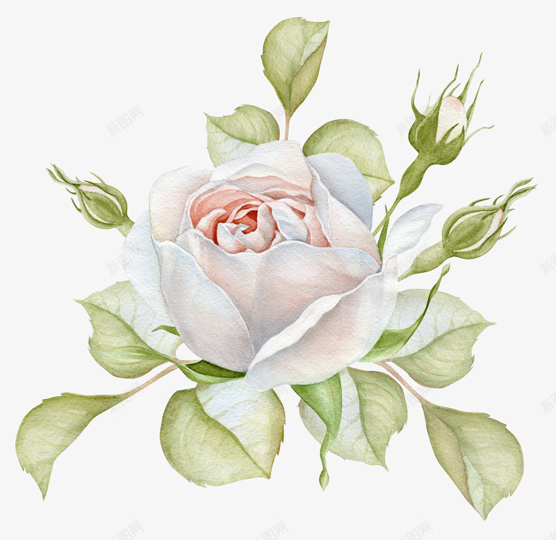 手绘花卉花朵装饰png免抠素材_88icon https://88icon.com 小清新花草装饰 布料印花 文艺花草 植物插画 海报设计 花草包装礼盒 花草插画 花草装饰
