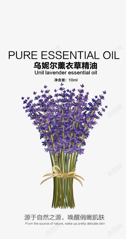 薰衣草精油外包装png免抠素材_88icon https://88icon.com 包装 精油 薰衣草