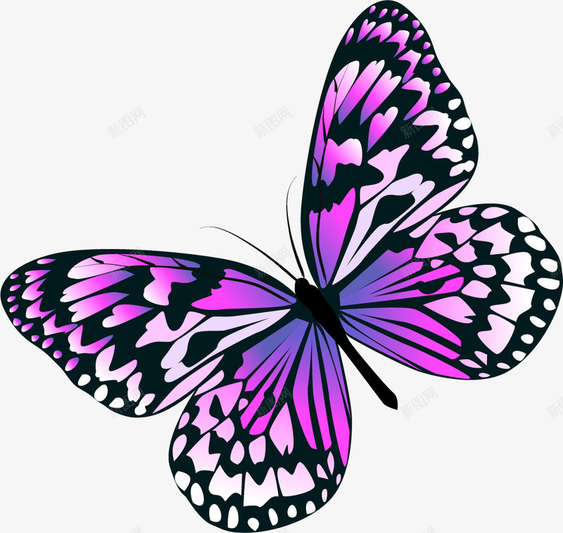 梦幻紫色蝴蝶png免抠素材_88icon https://88icon.com 唯美 圆点 梦幻 紫色 翅膀 蝴蝶