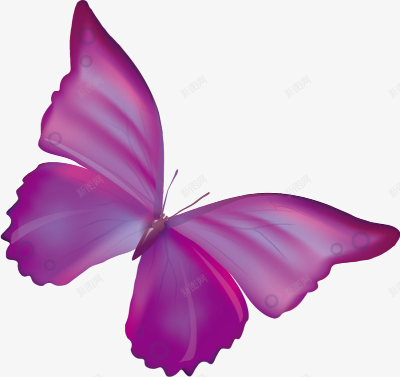 手绘紫色蝴蝶png免抠素材_88icon https://88icon.com 唯美 手绘 条纹 梦幻 水彩 紫色 翅膀 蝴蝶
