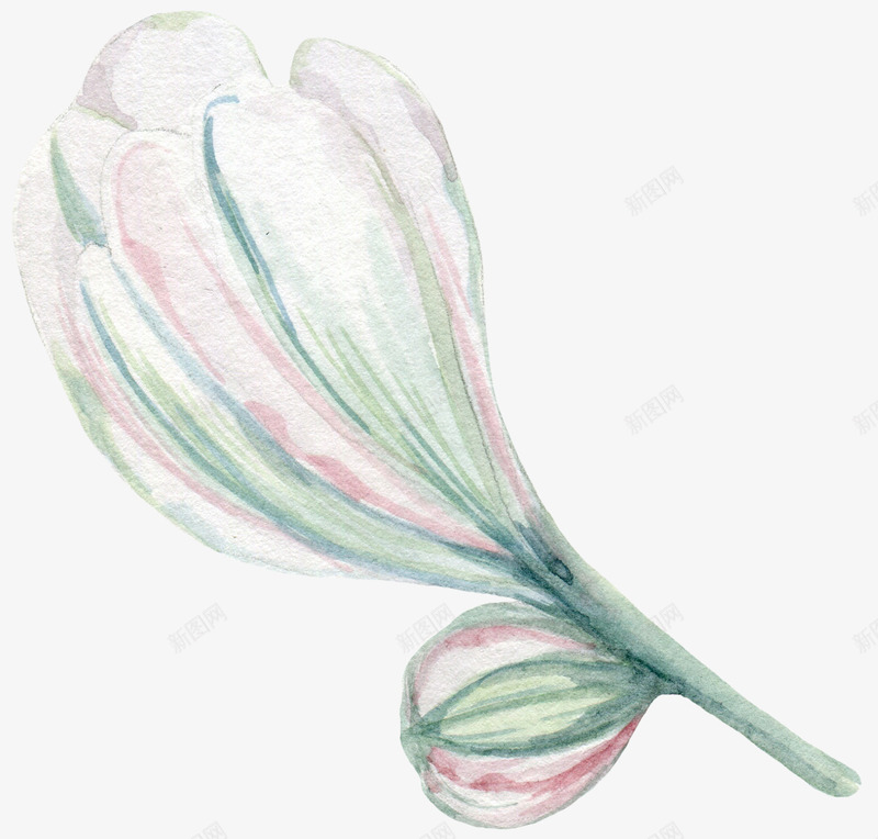 水彩绿色植物装饰图png免抠素材_88icon https://88icon.com 创意 卡通手绘 植物 水墨 水彩 绿色 花卉 花朵 鲜花