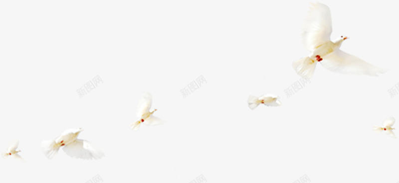 白色简洁飞翔天空png免抠素材_88icon https://88icon.com 天空 白色 简洁 飞翔