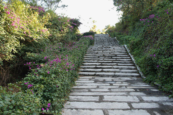 鼓浪屿花丛小路png免抠素材_88icon https://88icon.com 厦门风景 城市街景 鼓浪屿风情