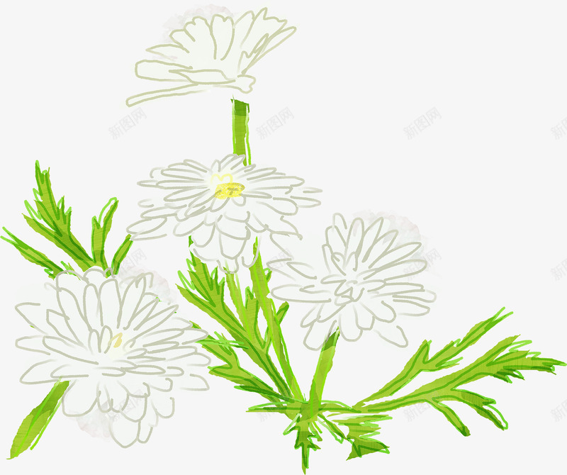 手绘白色简洁小花植物png免抠素材_88icon https://88icon.com 植物 白色 简洁