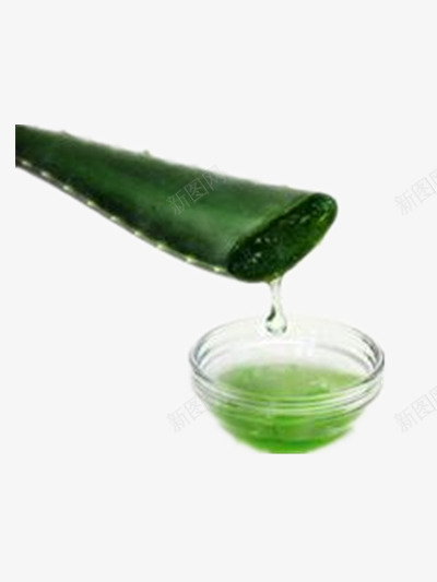 芦荟png免抠素材_88icon https://88icon.com 健康 化妆品广告 天然 护肤 绿色 美容养颜 芦荟水 芦荟胶