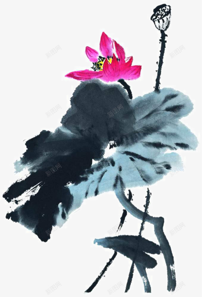 水墨荷花png免抠素材_88icon https://88icon.com 写意 国画花卉 国粹 宣纸画 手绘花草 手绘装饰 水墨国画