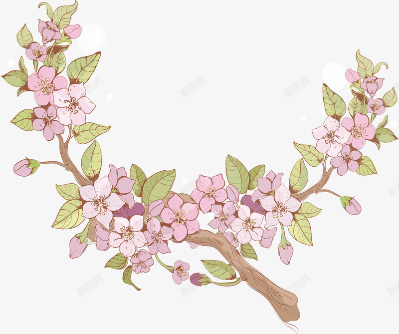 手绘花卉png免抠素材_88icon https://88icon.com 樱花 樱花枝 花卉 花纹花卉 鲜花