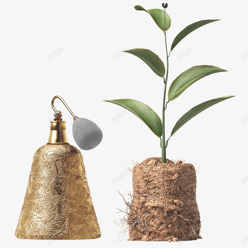 产品花苗美容用品图案png免抠素材_88icon https://88icon.com 产品设计 化妆品 图案 场景 女性用品 平面设计 护肤 智能 美容 美容用品 美容院 花苗 贴图