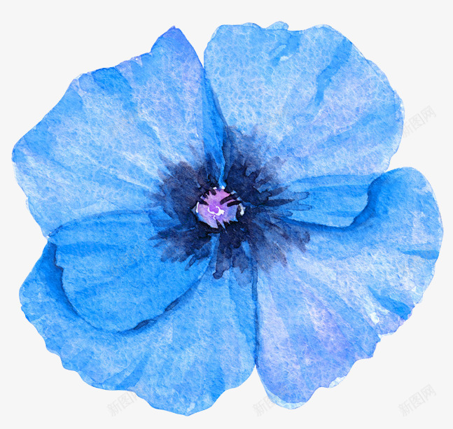 水彩绘花朵png免抠素材_88icon https://88icon.com 唯美花环 水彩绘花朵 淡雅 花卉 花朵