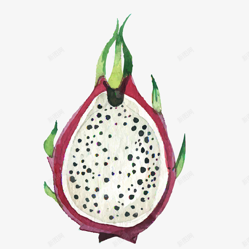 卡通水彩火龙果矢量图eps免抠素材_88icon https://88icon.com 卡通火龙果 水彩水果 水果火龙果png 火龙果水果 矢量火龙果水果 美容火龙果 矢量图