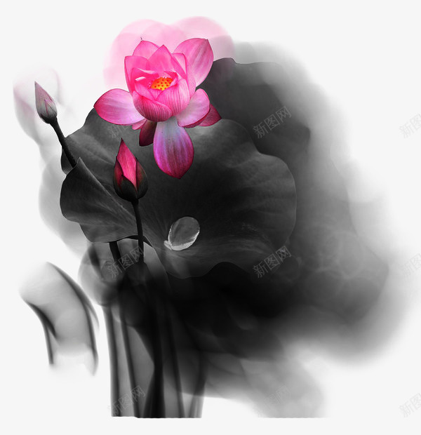 缥缈水墨荷素png免抠素材_88icon https://88icon.com 手绘 植物 水墨 水墨荷 缥缈 花卉 荷花