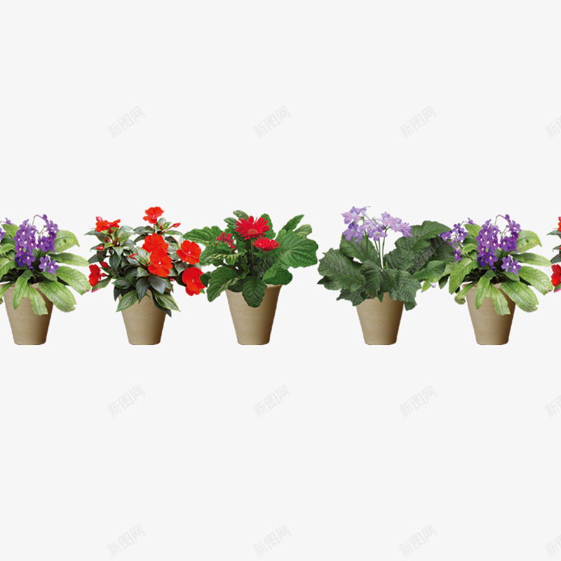 盆景png免抠素材_88icon https://88icon.com 盆景 花卉 花草