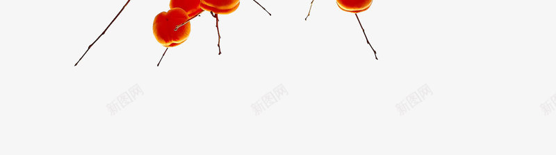 金秋丰收png免抠素材_88icon https://88icon.com 丰收素材 柿子 树枝 装饰素材 金秋素材 金黄色