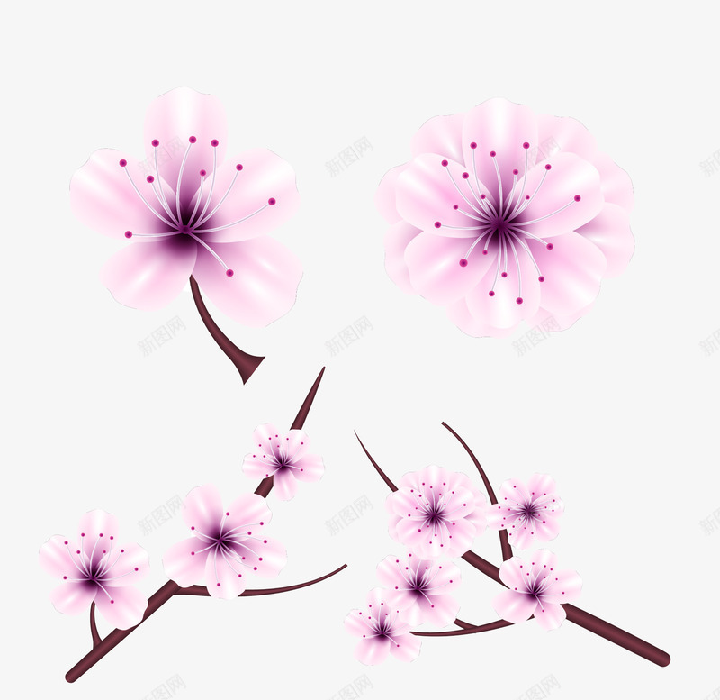 日本樱花节png免抠素材_88icon https://88icon.com 春花 樱花节 樱花飘落 矢量素材 粉色春花