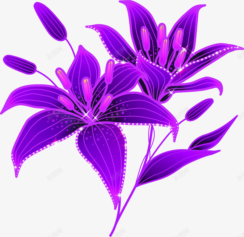 紫色唯美星光花朵png免抠素材_88icon https://88icon.com 星光 紫色 花朵